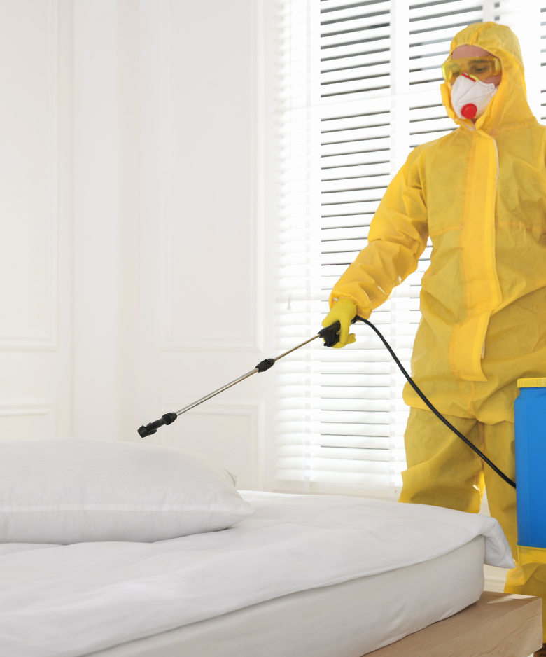 Professional Pest Control Team in Aldinga Beach